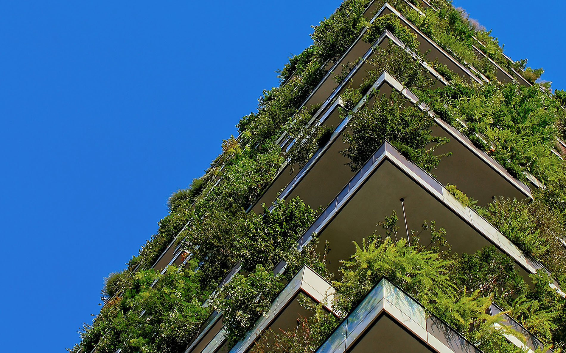 5 Unexpected Outcomes of Sustainable Buildings